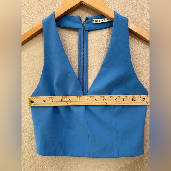 Alicia + Olivia Blue Top Size S - Picture 2 of 3